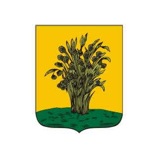 Герб Сураж